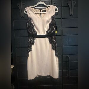 TAHARI Chic Cream/Blush and Black Lace Midi Dress